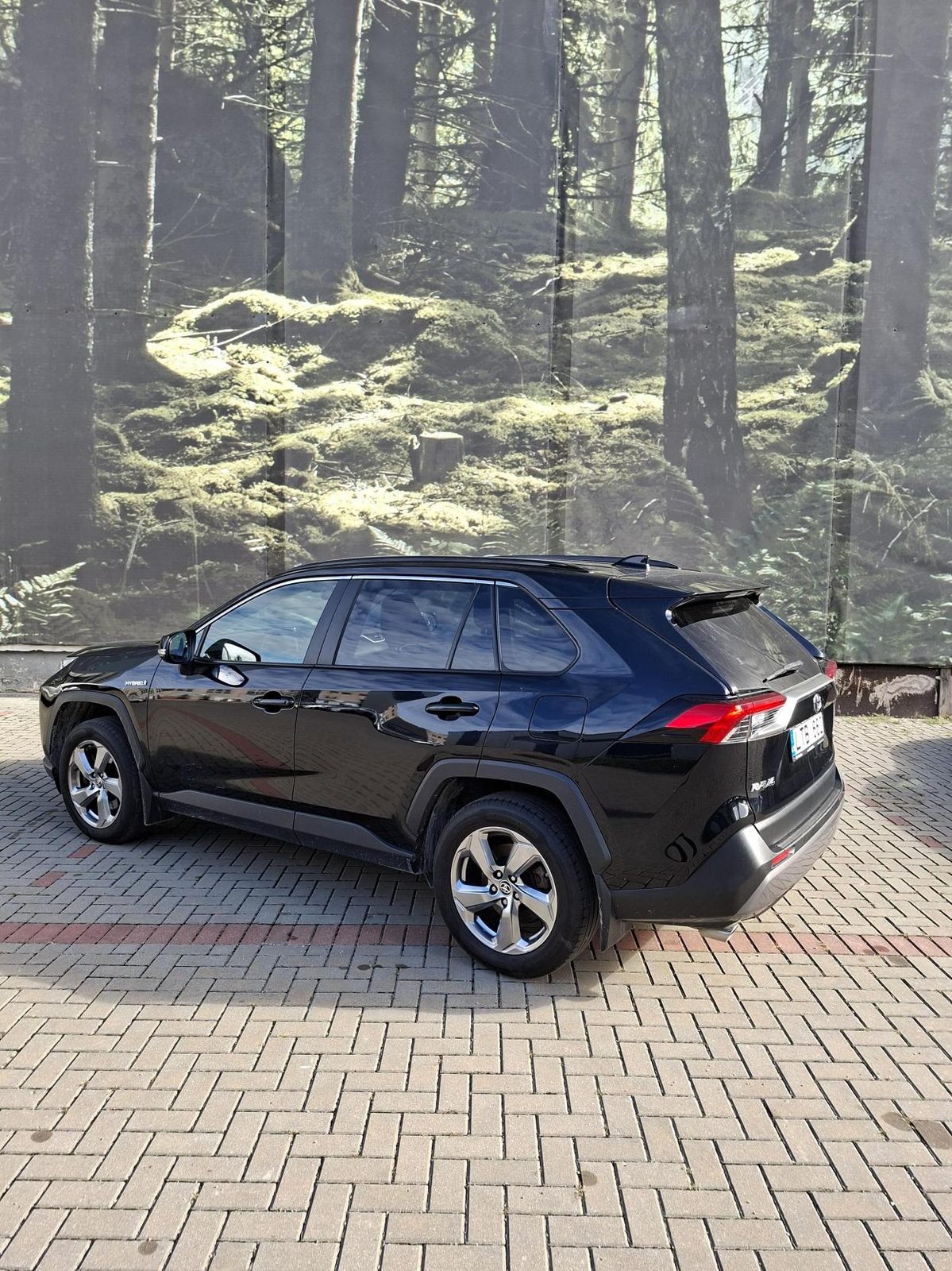 Toyota RAV4 LTB 662 nuotrauka