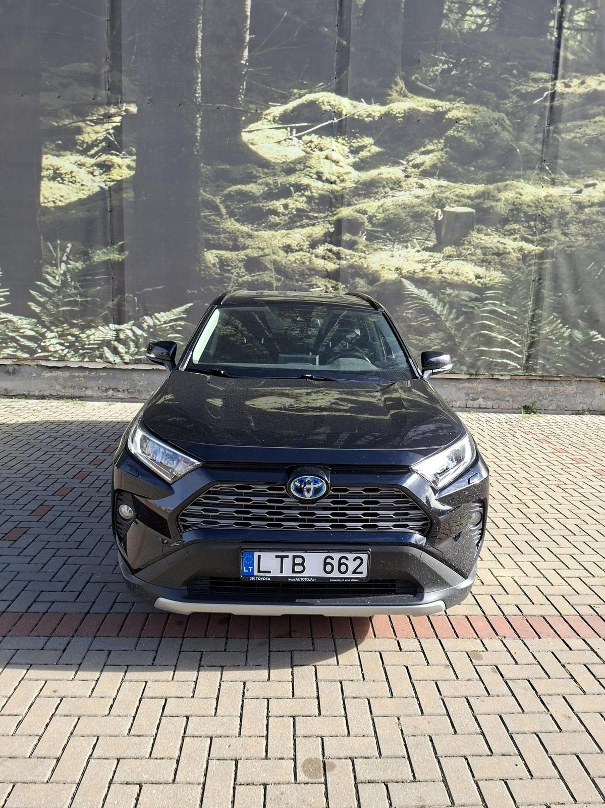 Toyota RAV4 LTB 662 nuotrauka