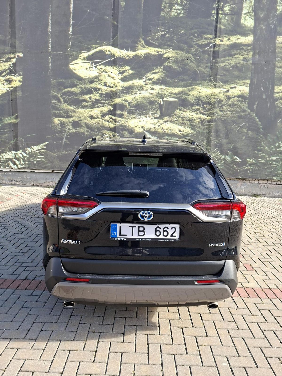 Toyota RAV4 LTB 662 nuotrauka 3