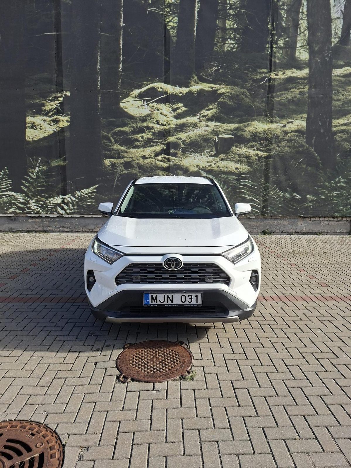 Toyota RAV4 MJN 031 nuotrauka