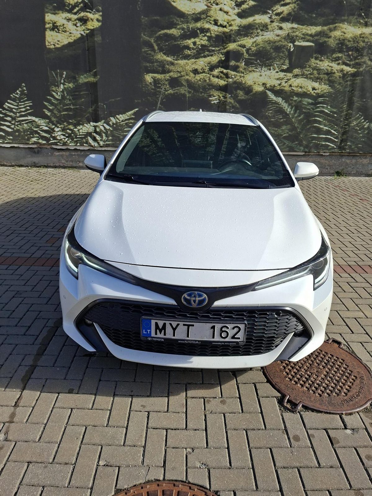 Toyota Corolla MYT 162 nuotrauka 3