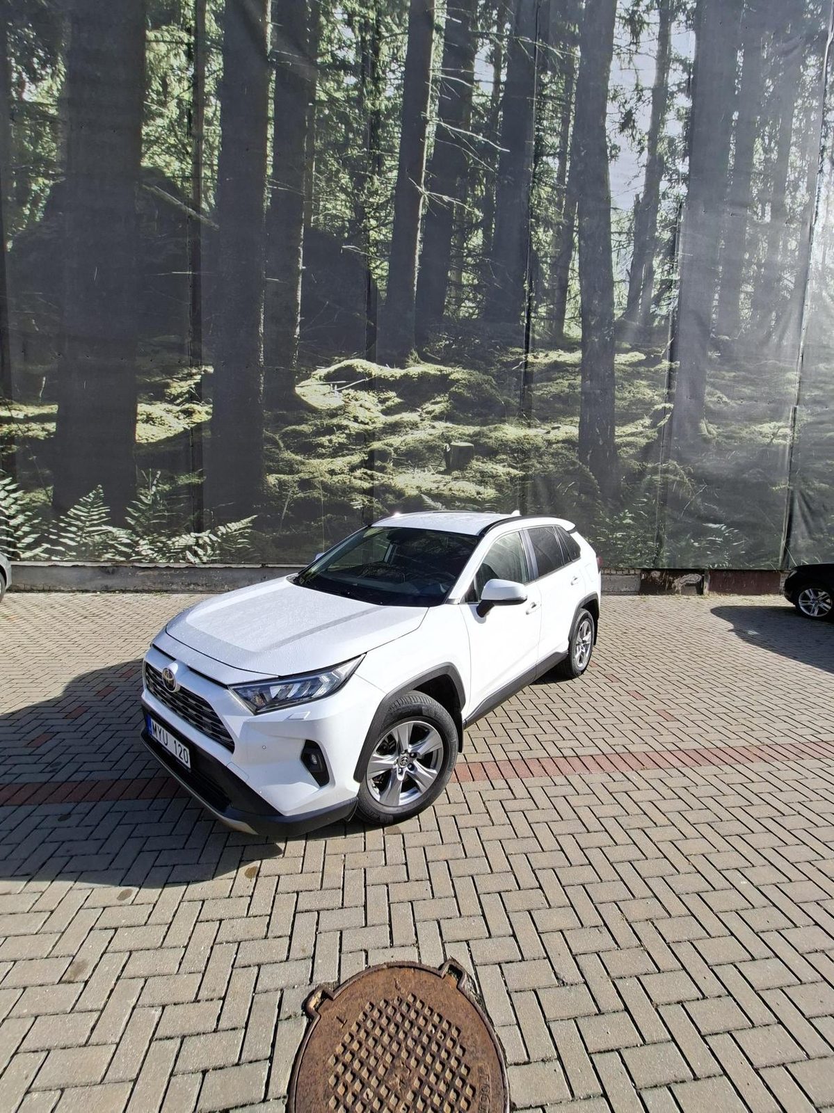 Toyota RAV4 MYU 120 nuotrauka