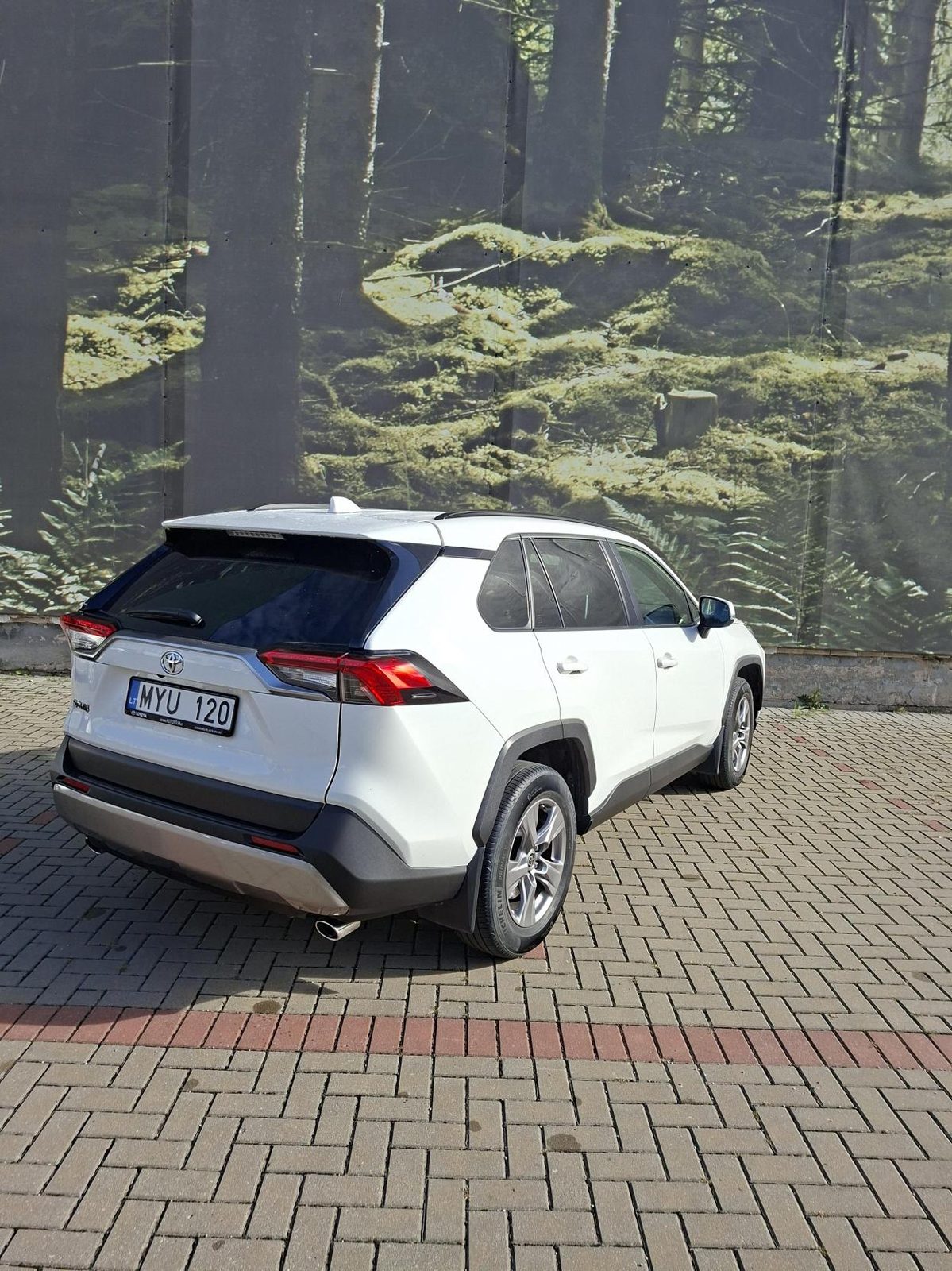 Toyota RAV4 MYU 120 nuotrauka