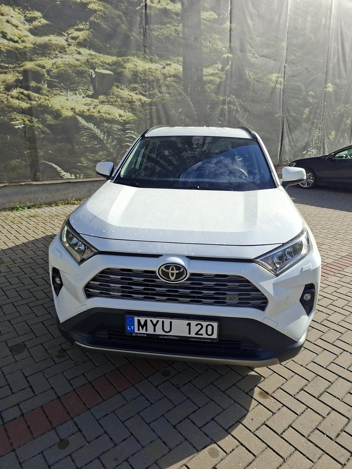 Toyota RAV4 MYU 120 nuotrauka 3